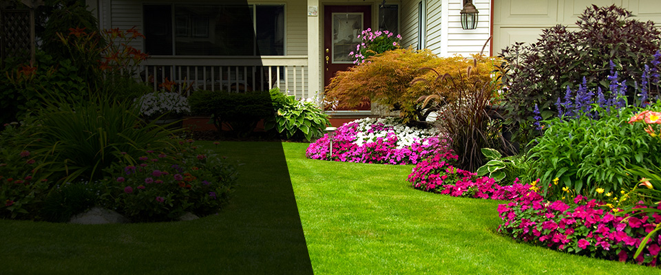 Sharon Landscapers